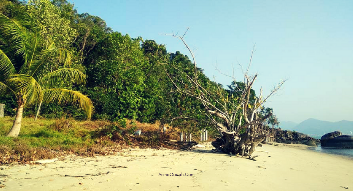 الكوخ الخشبي في جزيرة لنكاوي