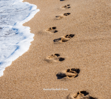 المشي يومياً خمسة كيلومترات