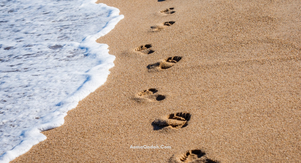 المشي يومياً خمسة كيلومترات