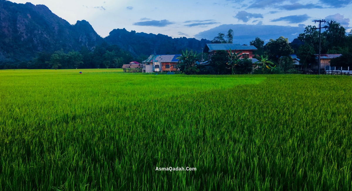 قرية وكهف كونغ لور – جنة الأرض