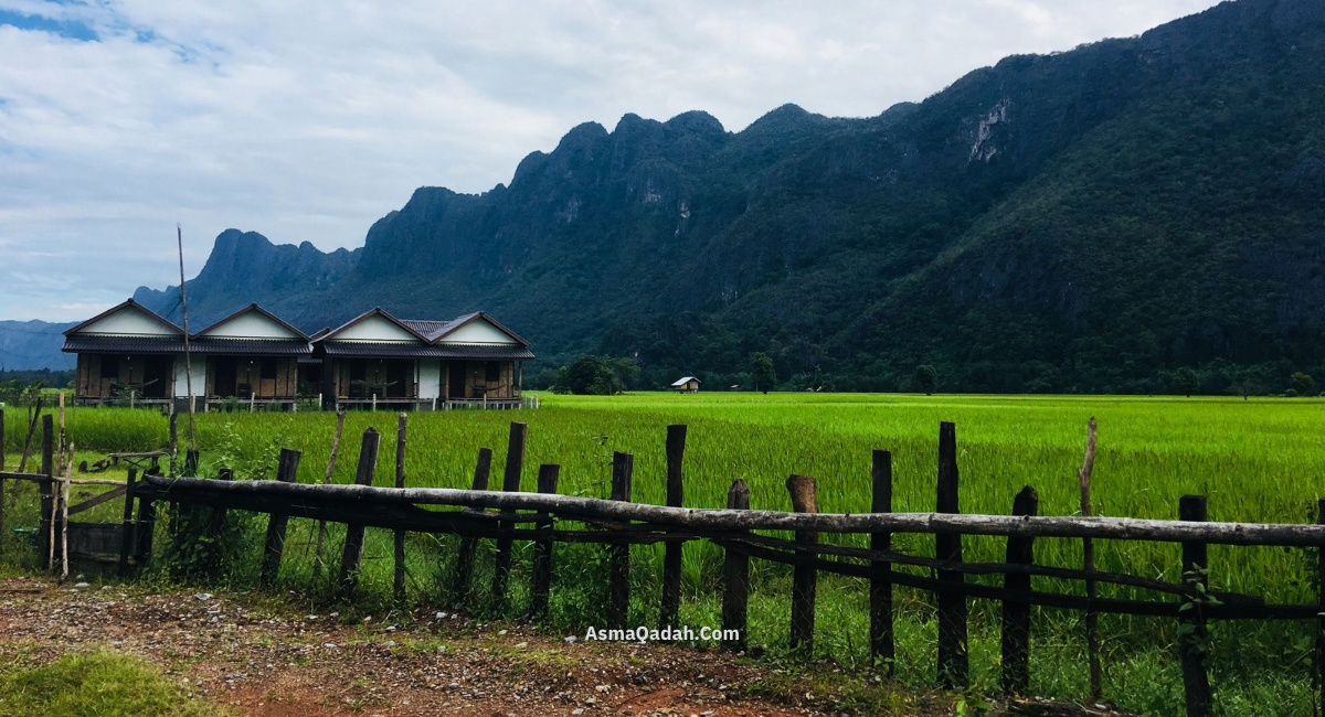 حفلة الوصول إلى كهف كونغ لور