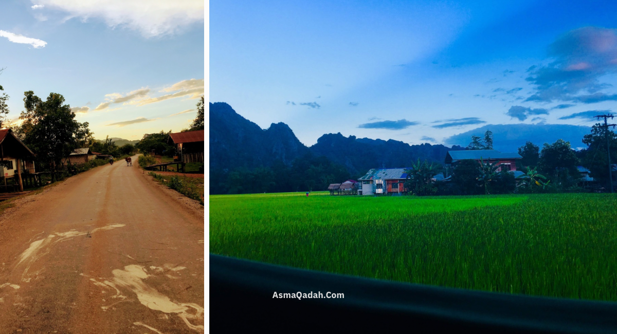 النوم وسط حقول الأرز في قرية كونغ لور