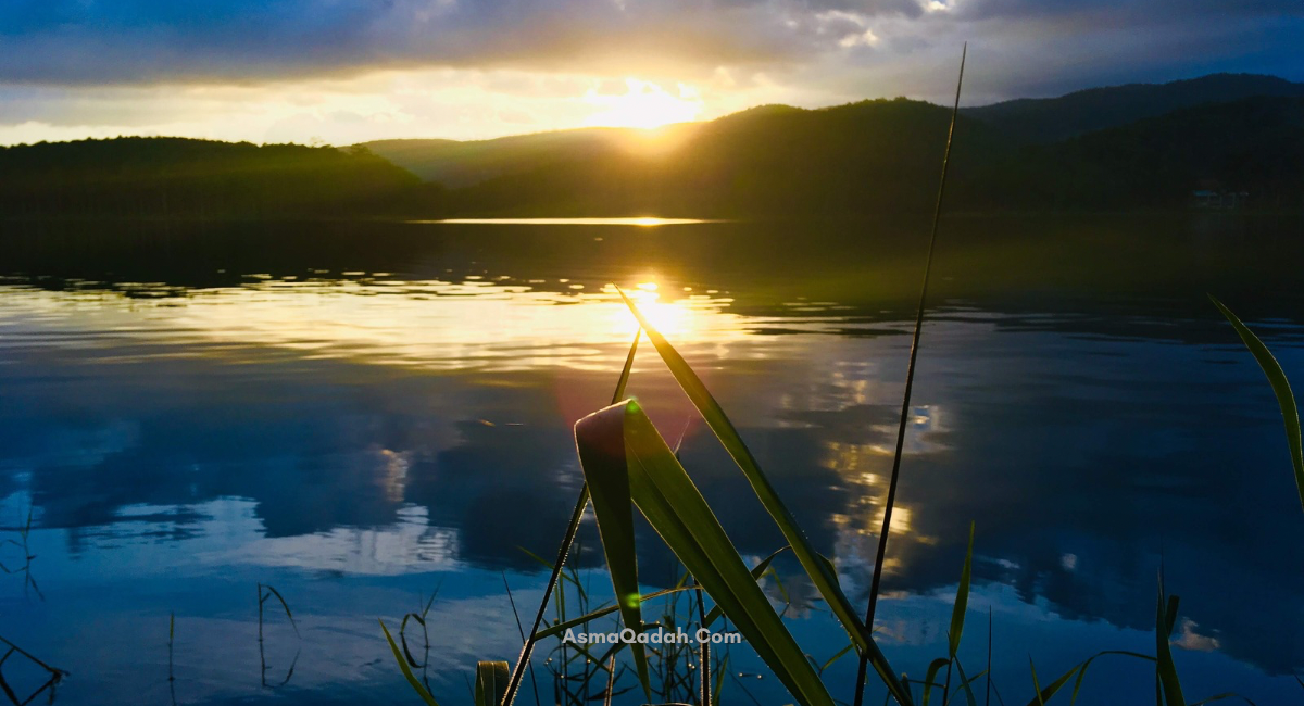 بحيرة توين لام، دالات، فيتنام