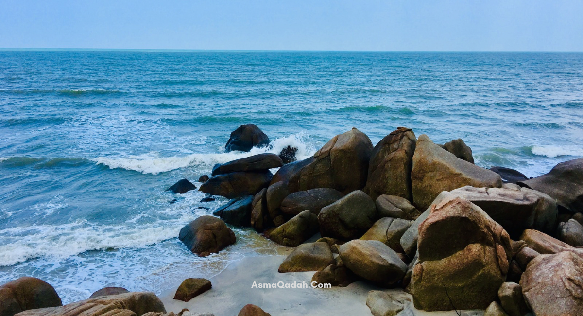 يوليو: ما بين الغابات الماليزية