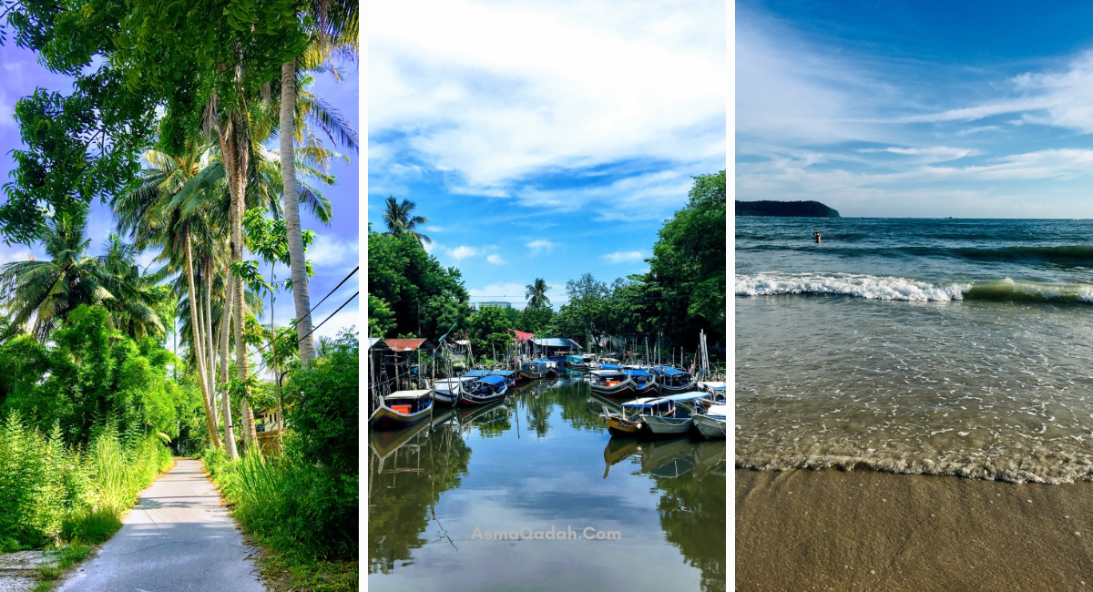 يونيو: حياة مثالية في سنة ٢٠١٩