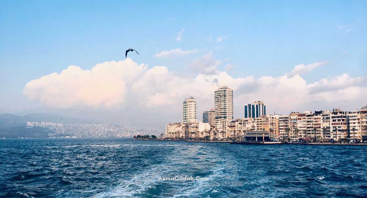 نوفمبر: رحلة الشتاء في سنة ٢٠١٩
