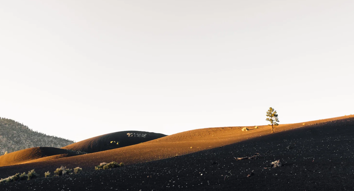 سهولة الوصول إليك ليست نعمة!