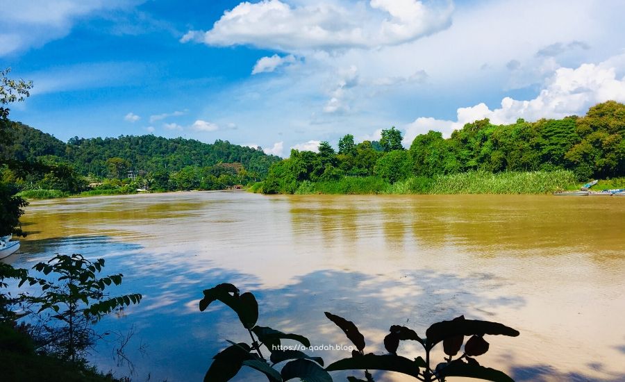 نهر كيناباتاغان ولاية صباح بورنيو ماليزيا Kinabatangan River