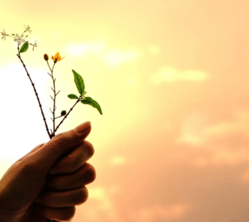 الامتنان   تعلم حب الأشياء الصغيرة