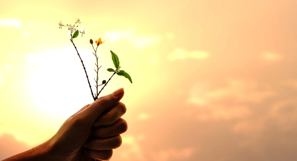 الامتنان   تعلم حب الأشياء الصغيرة