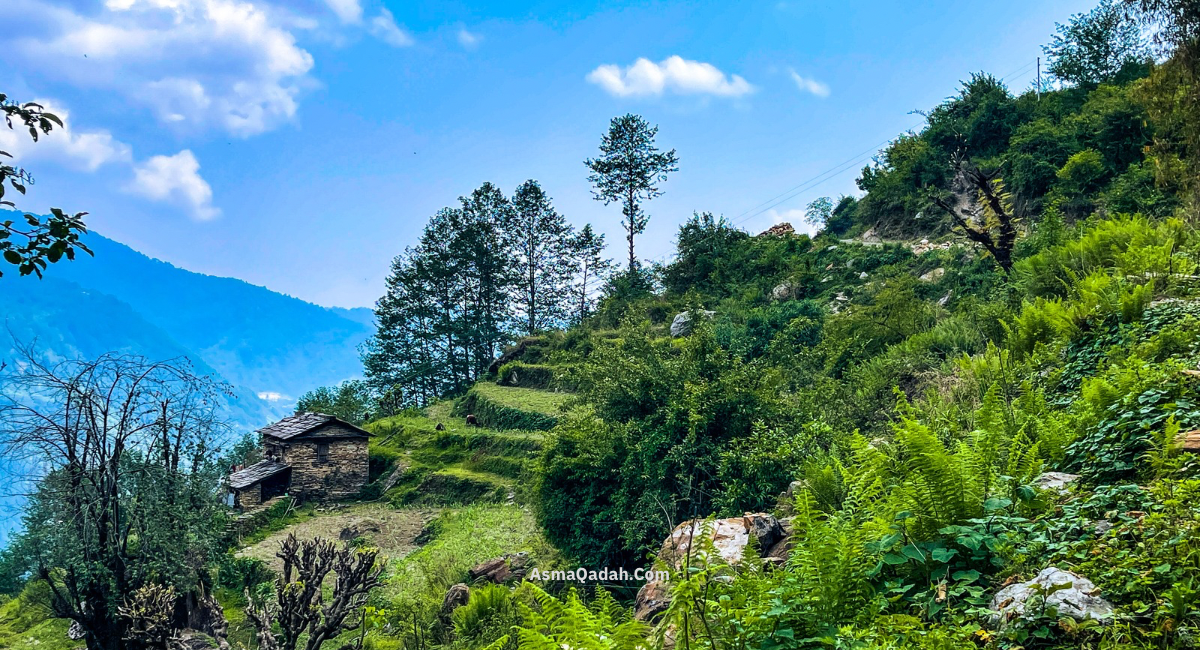الجزء الأخير من اليوم: بيتام دورالي إلى تولكا