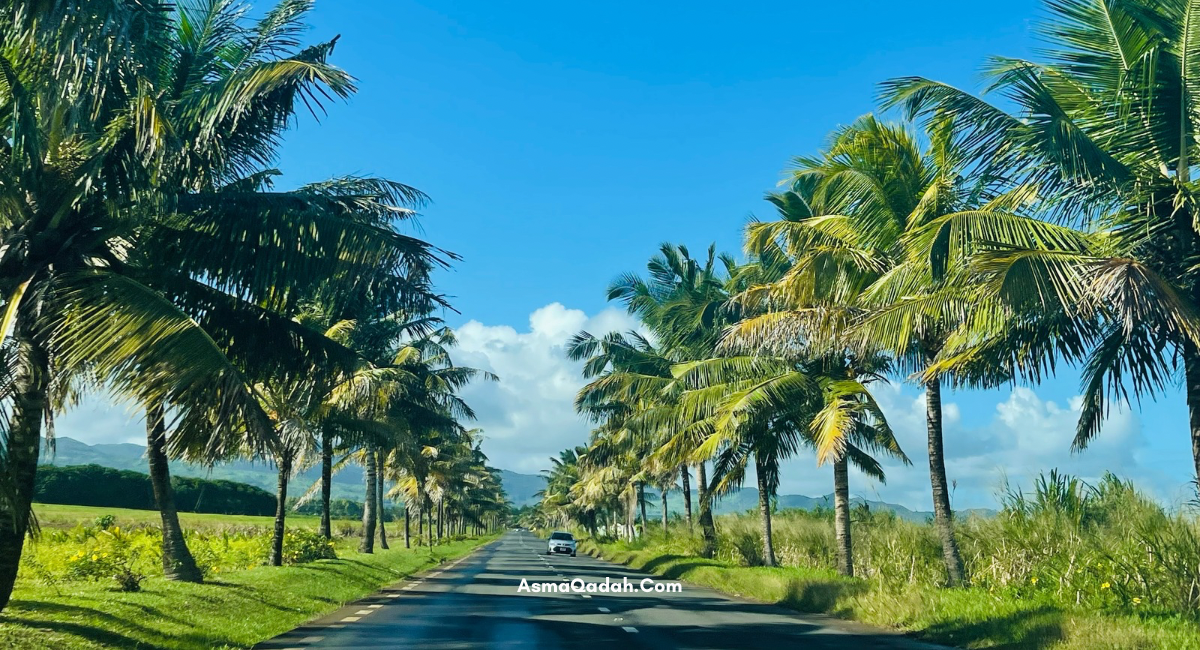 يونيو: موريشوس، مصافحة أولى