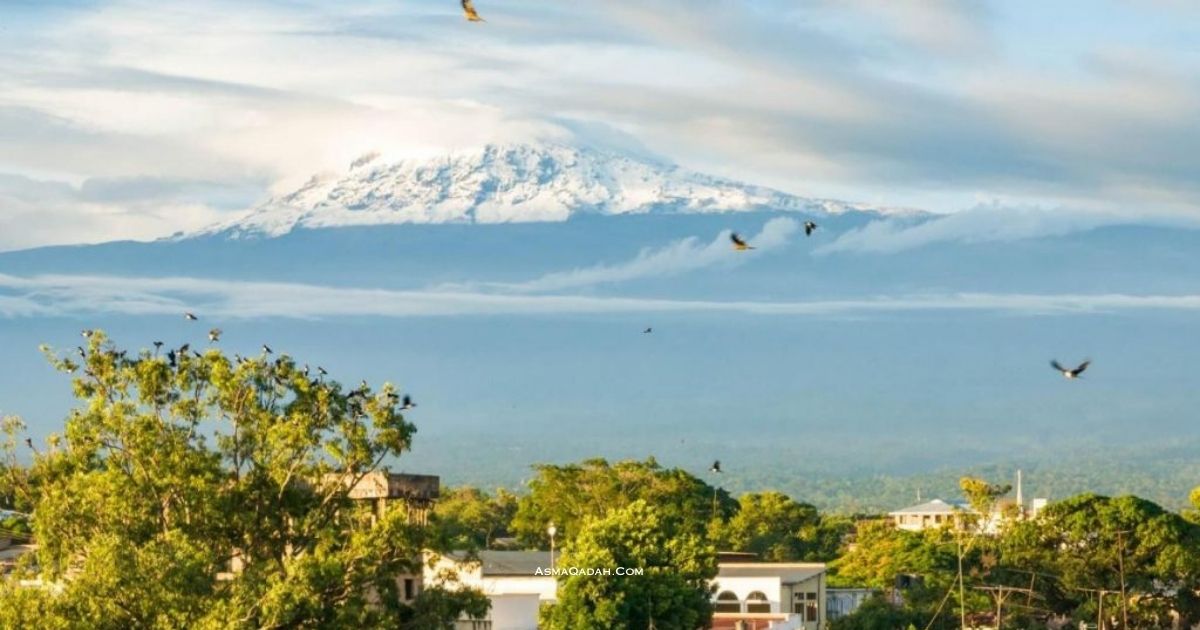 الإطلالة على جبل كلمنجارو من موشي تنزانيا