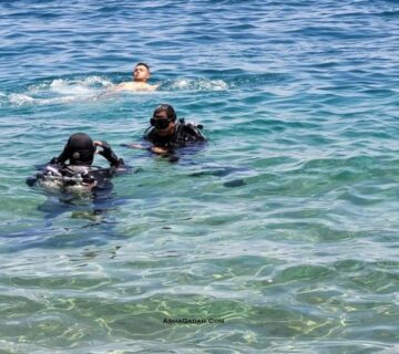 تعلم الغوص   فلسفة شوشين البوذية زِن والتي تعني عقلية المبتدئ في تعلم الأشياء