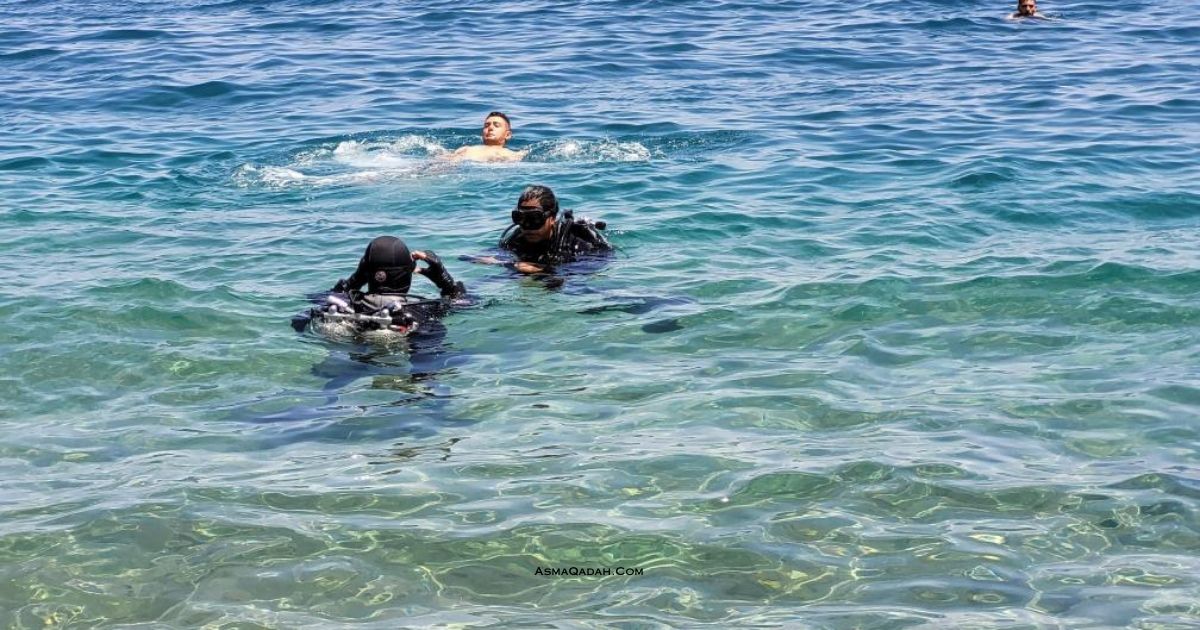 تعلم الغوص   فلسفة شوشين البوذية زِن والتي تعني عقلية المبتدئ في تعلم الأشياء